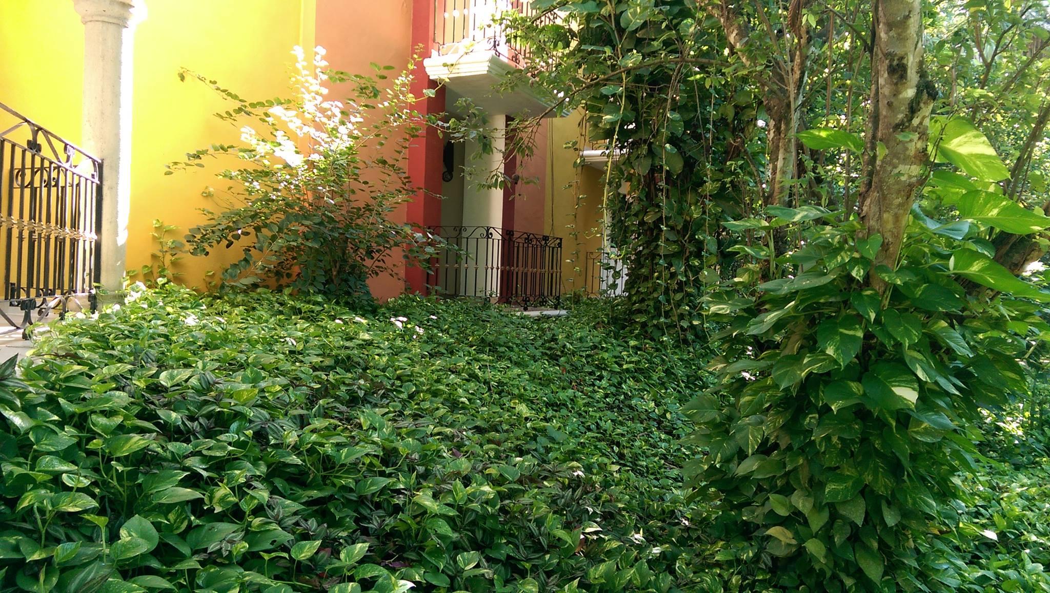 Ecotel Quinta Regia Valladolid  Exterior foto